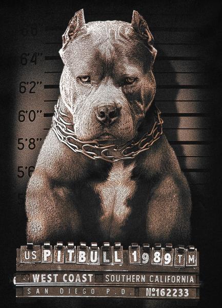 Pit Bull T-Shirt Mugshot II